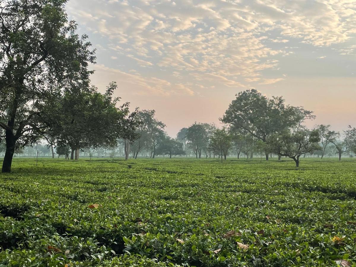 Tea Resort Saraswatipur Shaugaon Exteriér fotografie